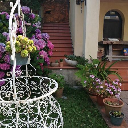 B&B Dal Brillante Seravezza Exterior photo